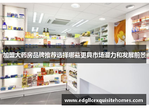 加盟大药房品牌推荐选择哪些更具市场潜力和发展前景